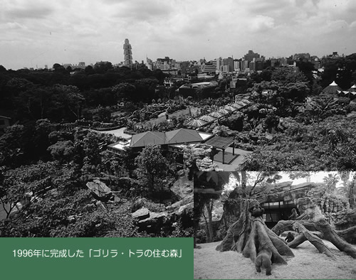 上野のれん会 雑誌うえの3月号より 歴史から将来を見つめる 上野のれん会 雑誌うえの3月号より 歴史から将来を見つめる